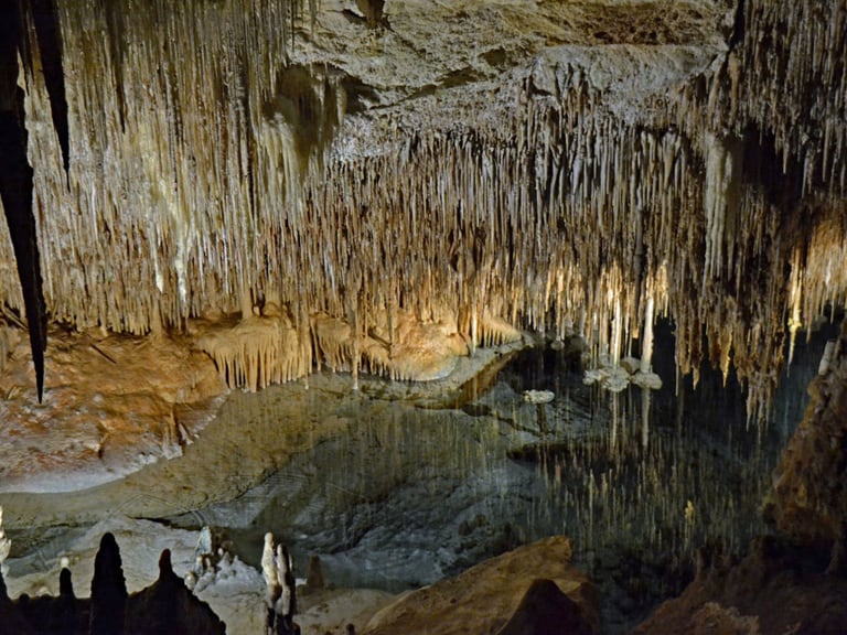 excursion cuevas del drach y rafa nadal | 